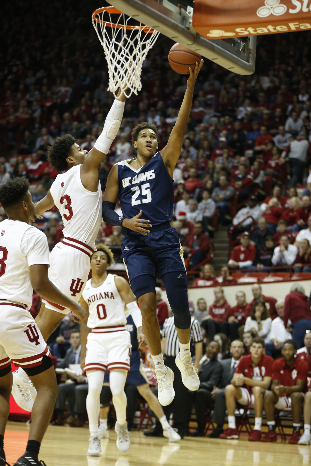 UC Davis basketball